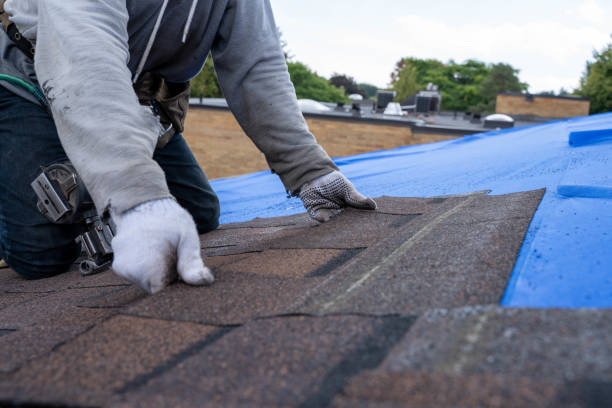 Best Metal Roofing Contractor  in Lakeland North, WA